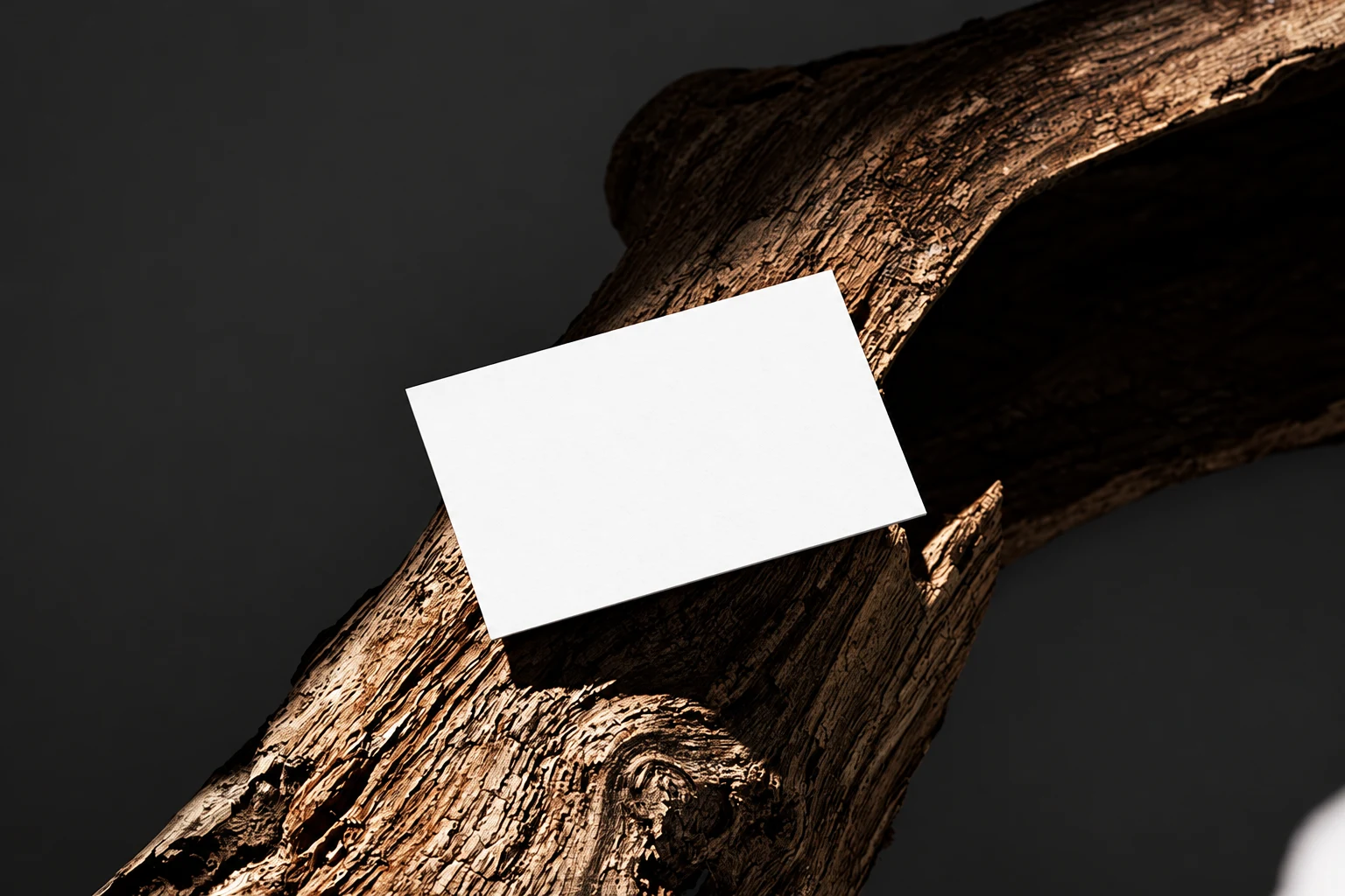 Blank white business card placed at an angle on textured driftwood against a dark charcoal background.